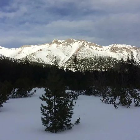 홈스테이 A105 Stary Smokovec Hrebienok *